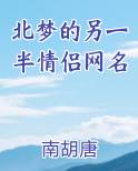 北梦的另一半情侣网名小说全集