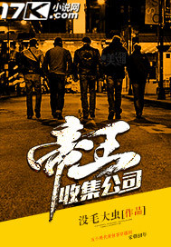 帝王收集公司 小说