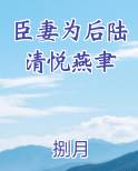 臣妻为妃小说
