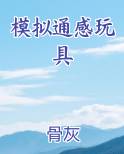 模拟通感玩具全文阅读