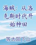 我,从洛克斯海贼团开始上班打卡