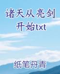 诸天从亮剑开始txt