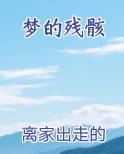 梦的残骸完结小说
