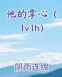 他的掌心（1v1h）