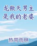龙傲天男主是我的老婆排行榜完结版