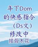 年下Dom的快感指令（Ds文）修改中推荐小说
