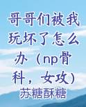 哥哥们被我玩坏了怎么办（np骨科，女攻）